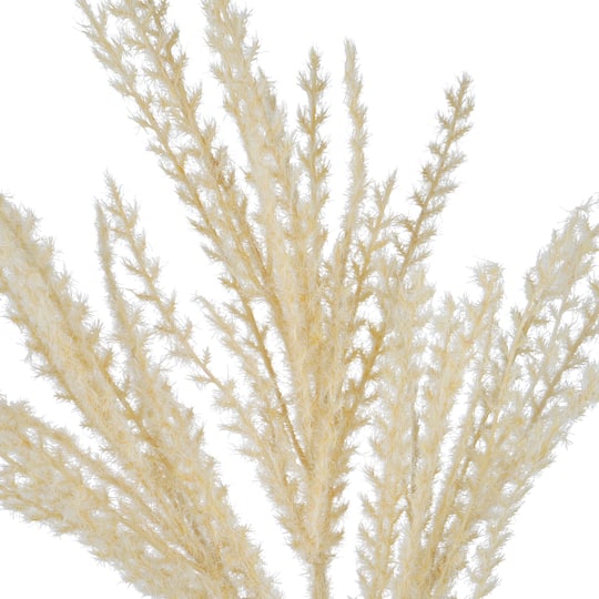 31" Cream Mini Pampas Stem by Ashland®